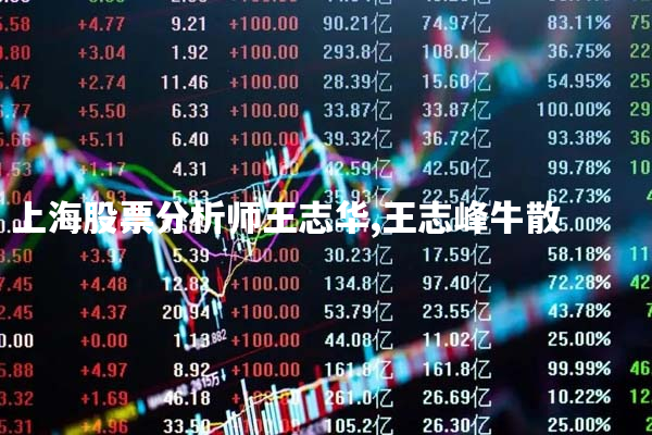 上海股票分析师王志华,王志峰牛散